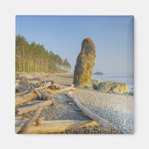 Imán Línea de costa y montones de mar, Ruby Beach, Olím