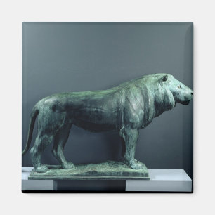 Imán Lion, 1904
