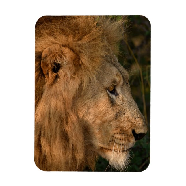 Imán LION Refrigerator Magnet TU plantilla de fotos (Vertical)