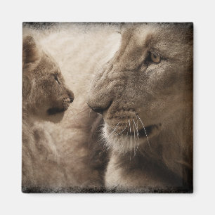 Imán Lioness y Cub