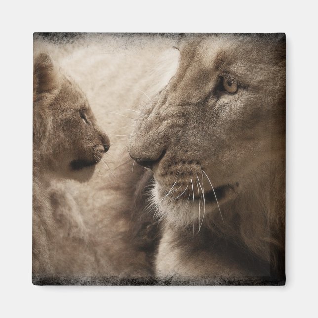 Imán Lioness y Cub (Frente)