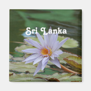 Imán Lirio de agua de Sri Lanka