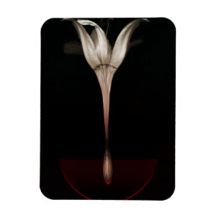 Imán Lirio sangrante 2013