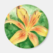 Lirios amarillos en el jardín