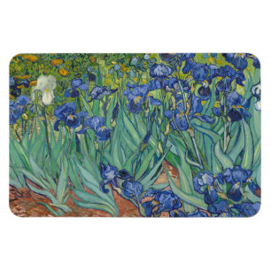 Imán Lirios, pintura al óleo floral, Vincent Van Gogh