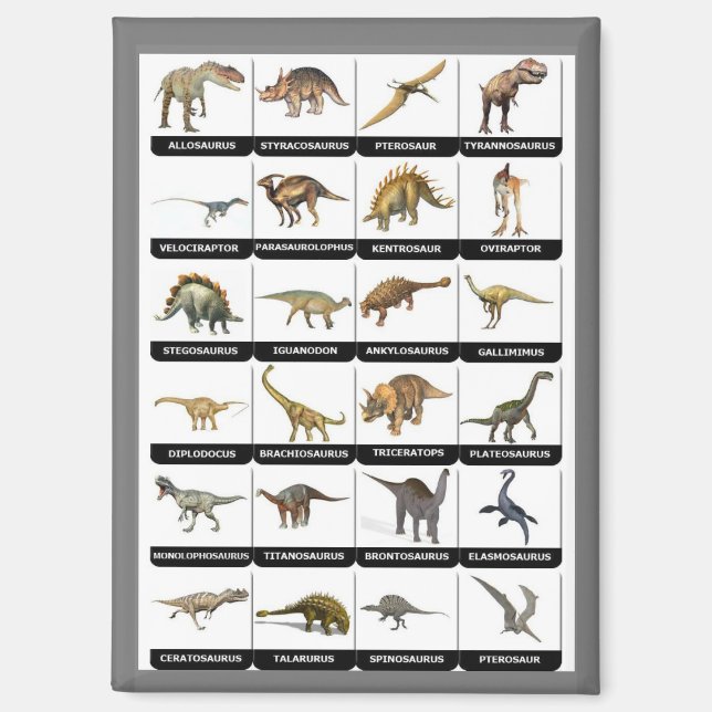 Imán Lista de gráficos de dinosaurios (Anverso)