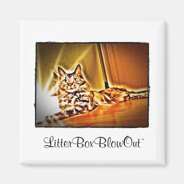 Imán LitterBoxBlowOut (Frente)