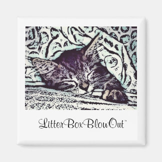 Imán LitterBoxBlowOut