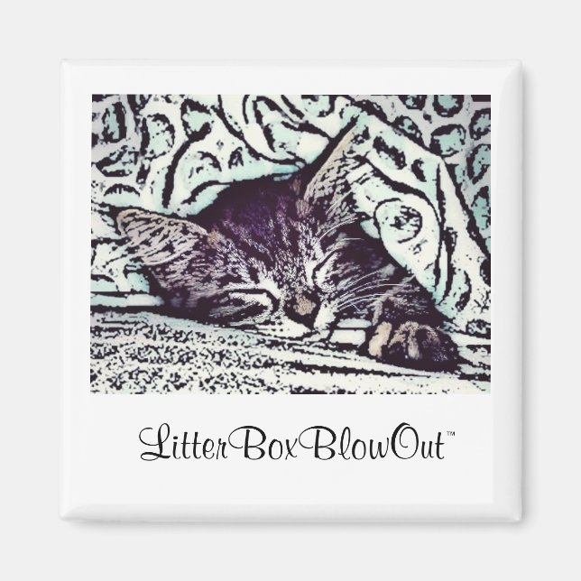 Imán LitterBoxBlowOut (Frente)