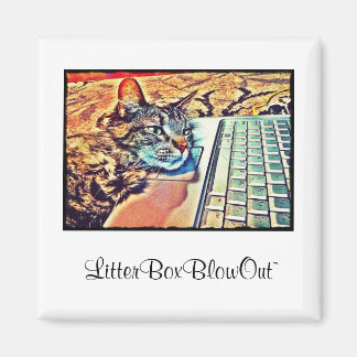 Imán LitterBoxBlowOut