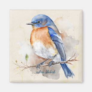 Imán Little Eastern Bluebird Watercolor
