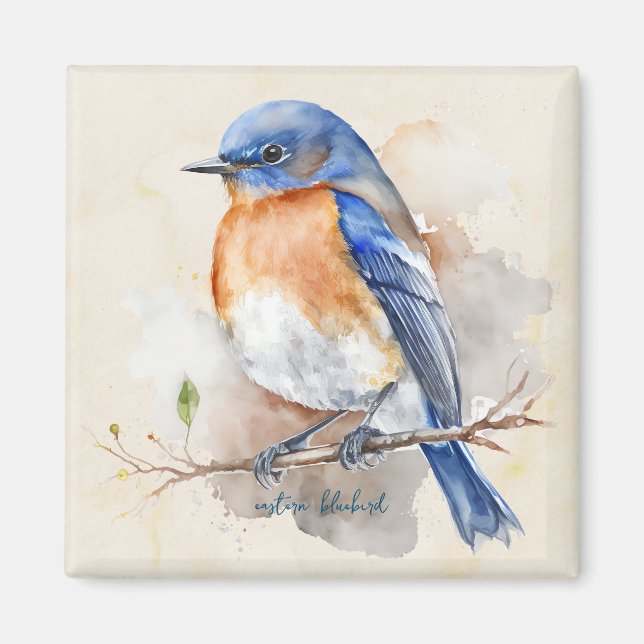 Imán Little Eastern Bluebird Watercolor (Frente)