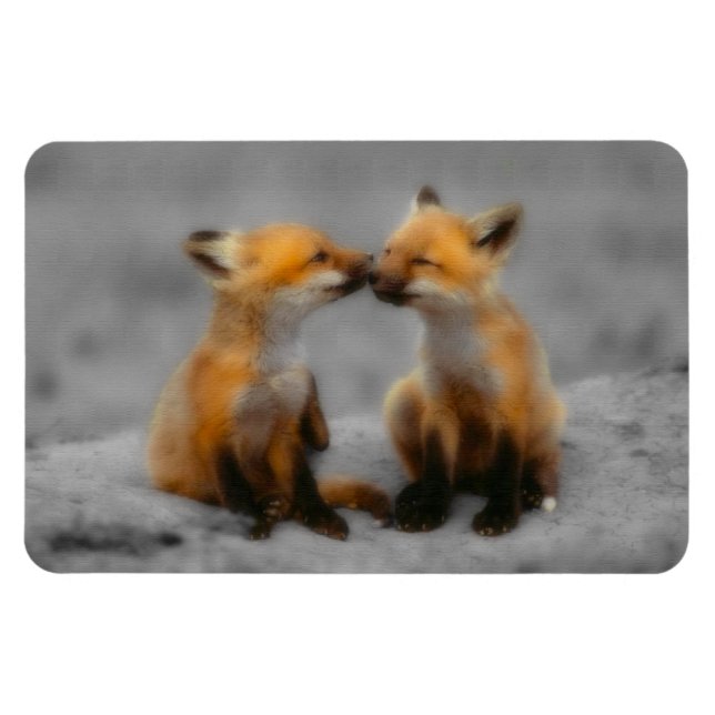 Imán Little Fox Love (Horizontal)