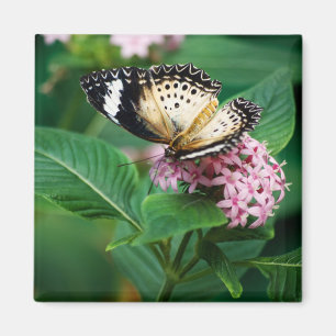 Imán Little Leopard Wings Magnet