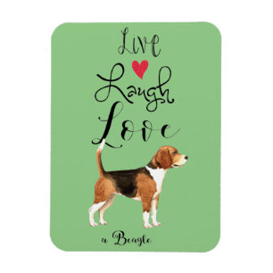 Imán Live Lauder Love a Beagle Magnet