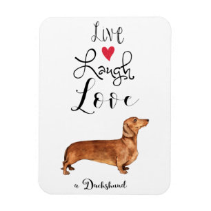 Imán Live Lauder Love a Dachshund Magnet