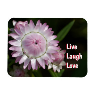 Imán Live Laugh Love Daisy Magnet