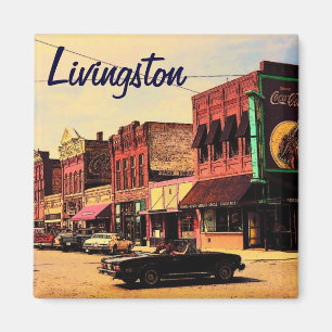 Imán Livingston Montana Magnet