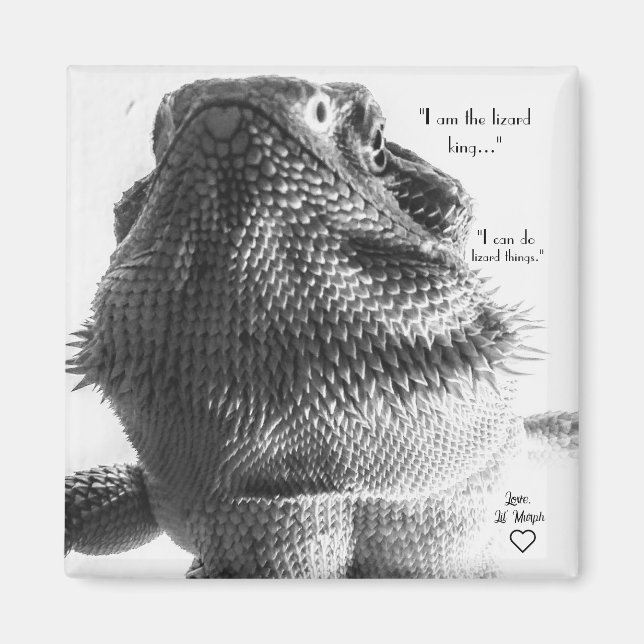 Imán Lizard blanco y negro (Frente)