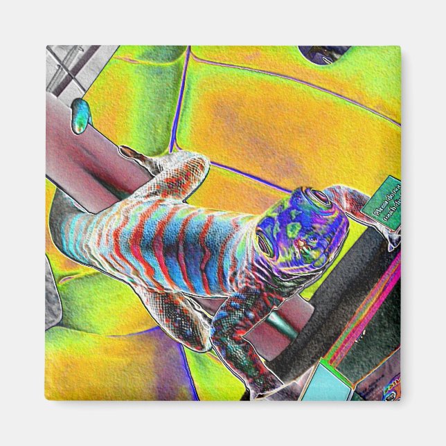 Imán Lizard fluorescente (Frente)