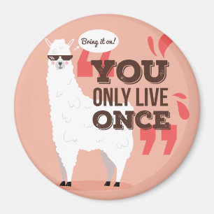 Imán Llama
