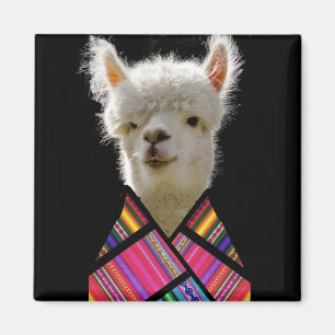 Imán Llama colorida