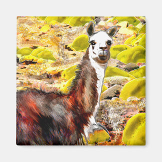 Imán Llama en los Andes, Perú