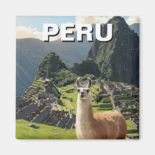 Imán Llama peruana