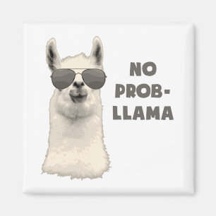 Imán Llama sin problema