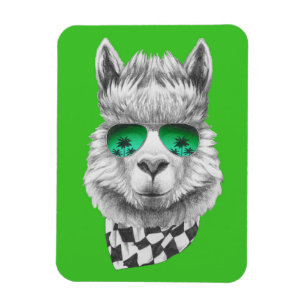 Imán Llamada de California