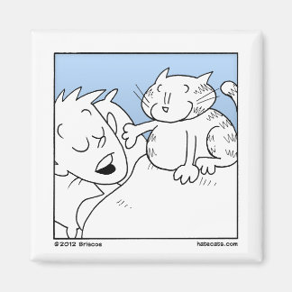 Imán Llamada de despertar a gato