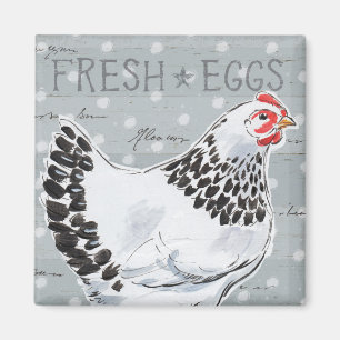 Imán Llamada de gallos II