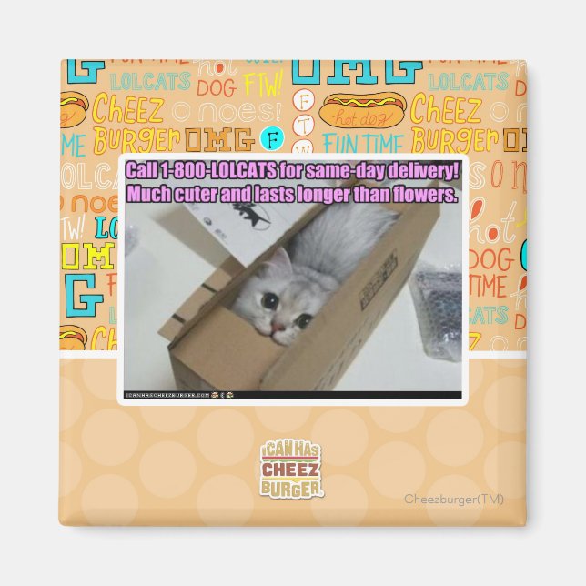 Imán Llamar al 1-800-LOLCATS (Frente)