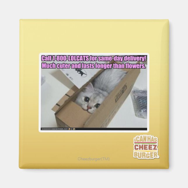 Imán Llamar al 1-800-LOLCATS (Frente)