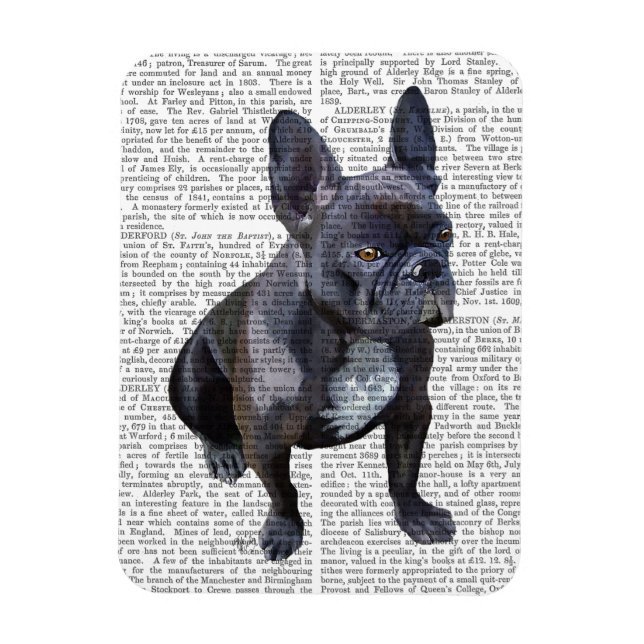 Imán Llanura de Bulldog francesa (Vertical)