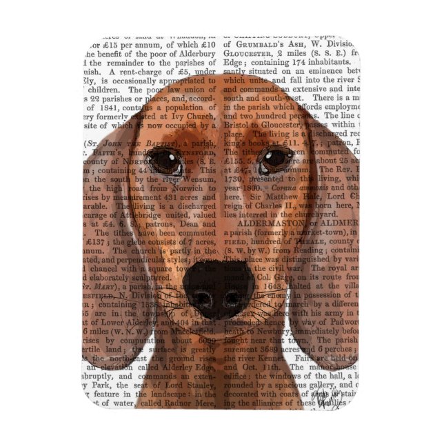 Imán Llanura de Ilustracion de Dachshund (Vertical)