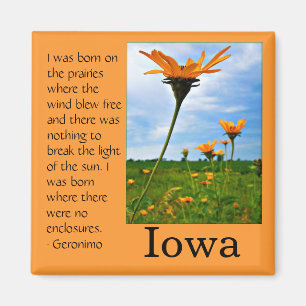 Imán Llevado en la pradera