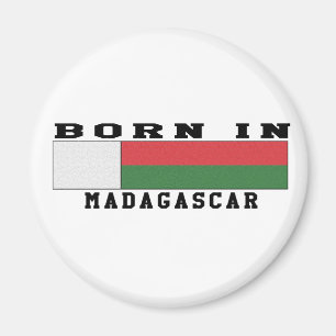 Imán Llevado en Madagascar