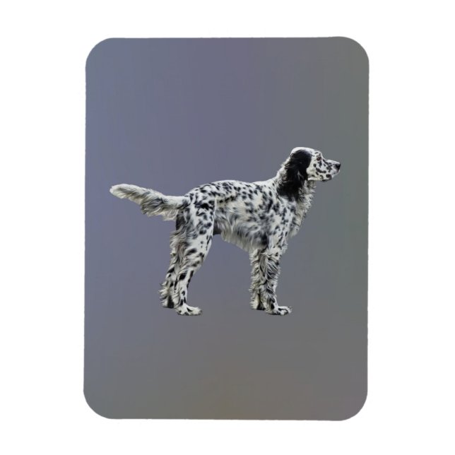 Imán LLewellin Setter (Vertical)