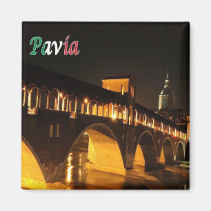 Imán LMD045 PAVIA El puente cubierto de noche, Fridge