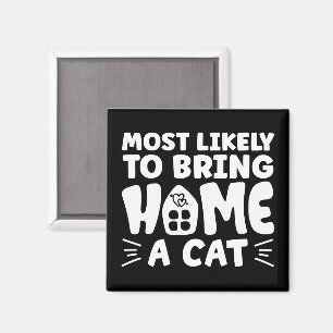 Imán Lo Más Probable Es Traer A Casa Un Gato, Una Hermo