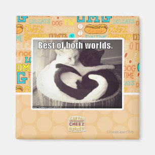 Imán Lo mejor de ambos mundos.