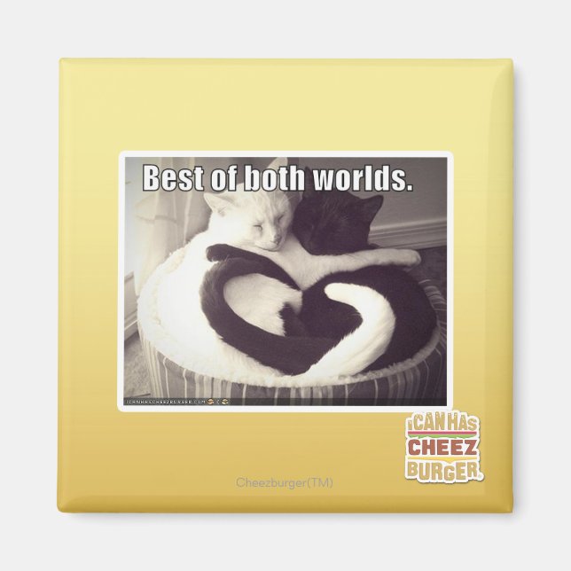 Imán Lo mejor de ambos mundos. (Frente)