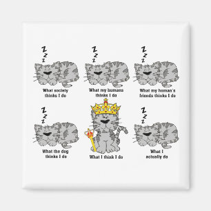 Imán Lo Que El Gato Piensa Gracioso