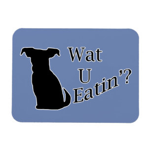Imán Lo que estás comiendo perro