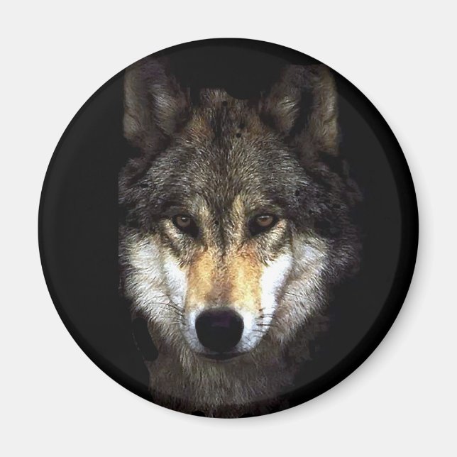 Imán lobo de fuerza (Frente)