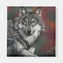 Imán Lobo de la madera en los bosques de otoño descansa