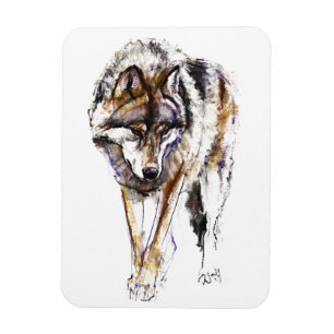 Imán Lobo europeo