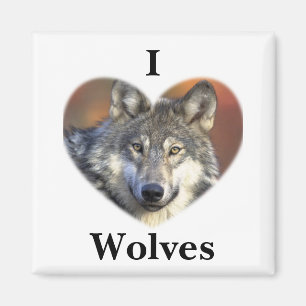 Imán Lobo gris