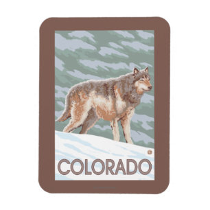 Imán Lobo gris StandingColorado